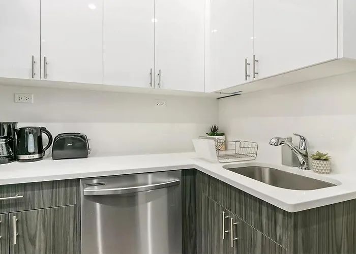 Newly Renovated 1br In Ideal Location - Belmont E1 Chicago
