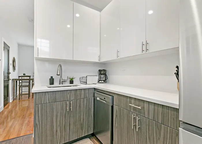 Appartamento Newly Renovated 1br In Ideal Location - Belmont E1 Chicago